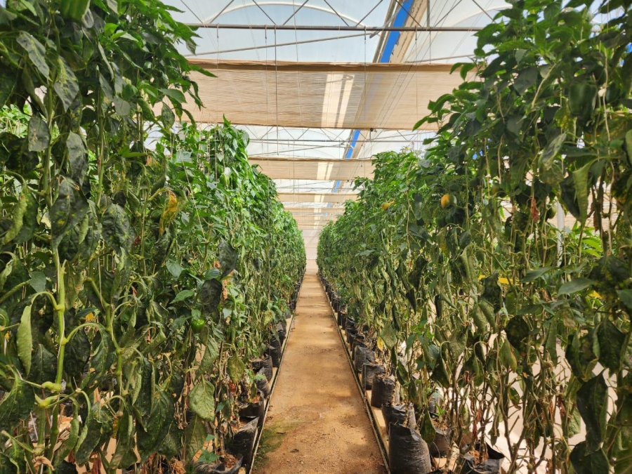 0 Bedroom Property for Sale in Klawer Western Cape